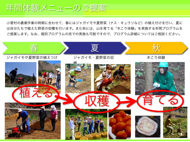 年間プラン 年間プラン
